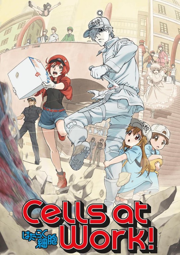 LA CIENCIA DE LA VIDA: Cells at work! [Hataraku Saibou]. Episodio 2. Rasguño