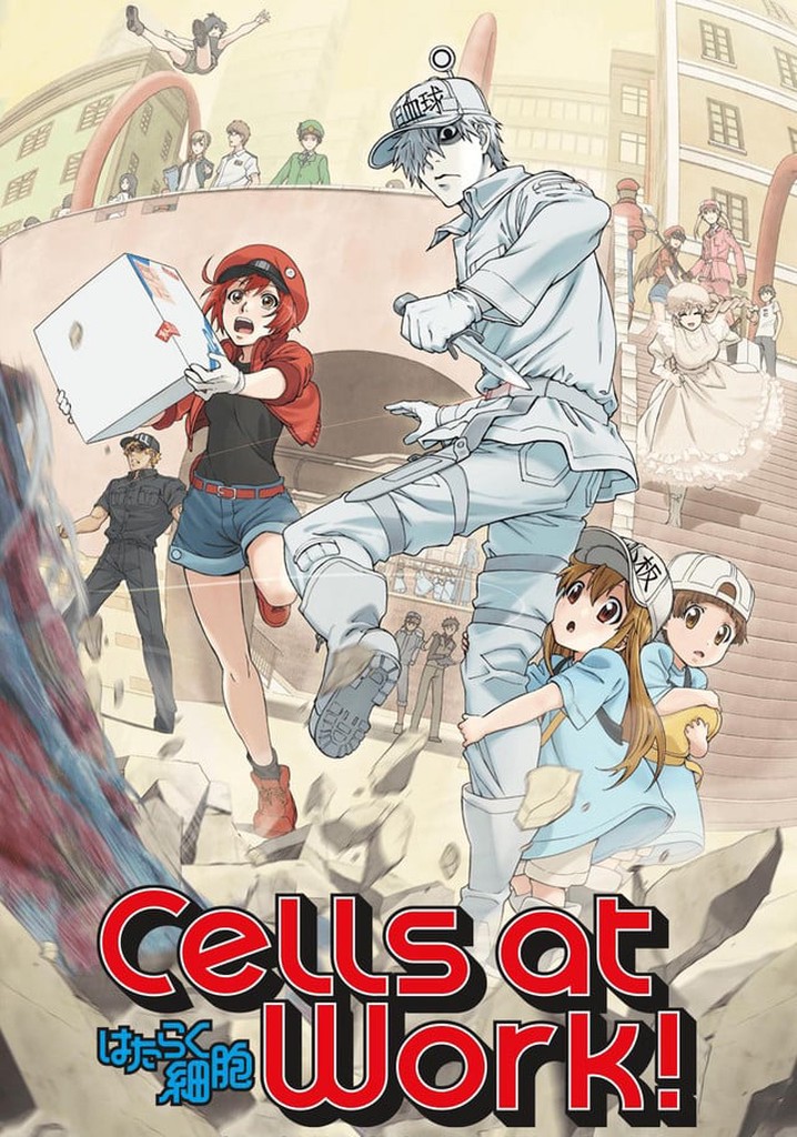 Cells at Work! Code Black (Anime Review) | The View from the Junkyard
