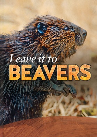Leave it to Beavers
