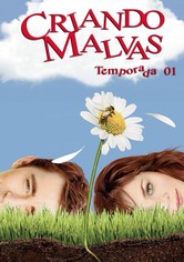 Criando malvas - Temporada 1