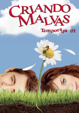 Pushing Daisies: Temporada 1
