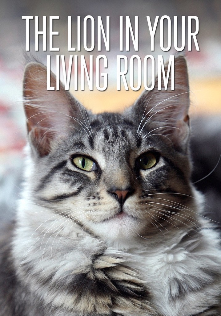 The Lion In Your Living Room
