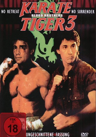 Kick-Boxer 2 - Blood Brothers