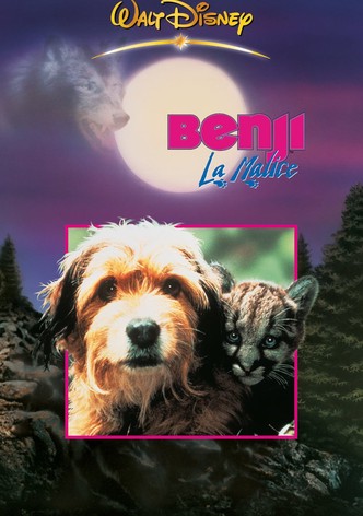 Benji la malice