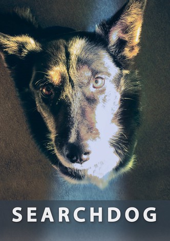 Searchdog