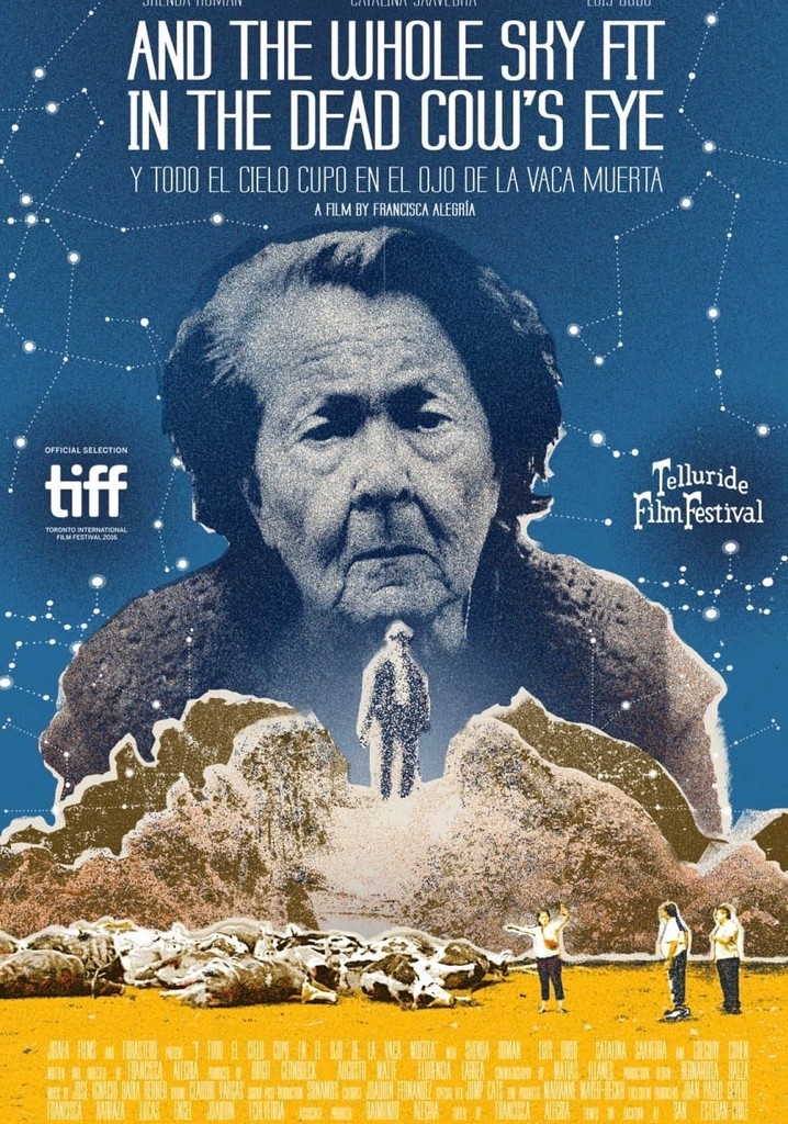 And the Whole Sky Fit in the Dead Cow's Eye