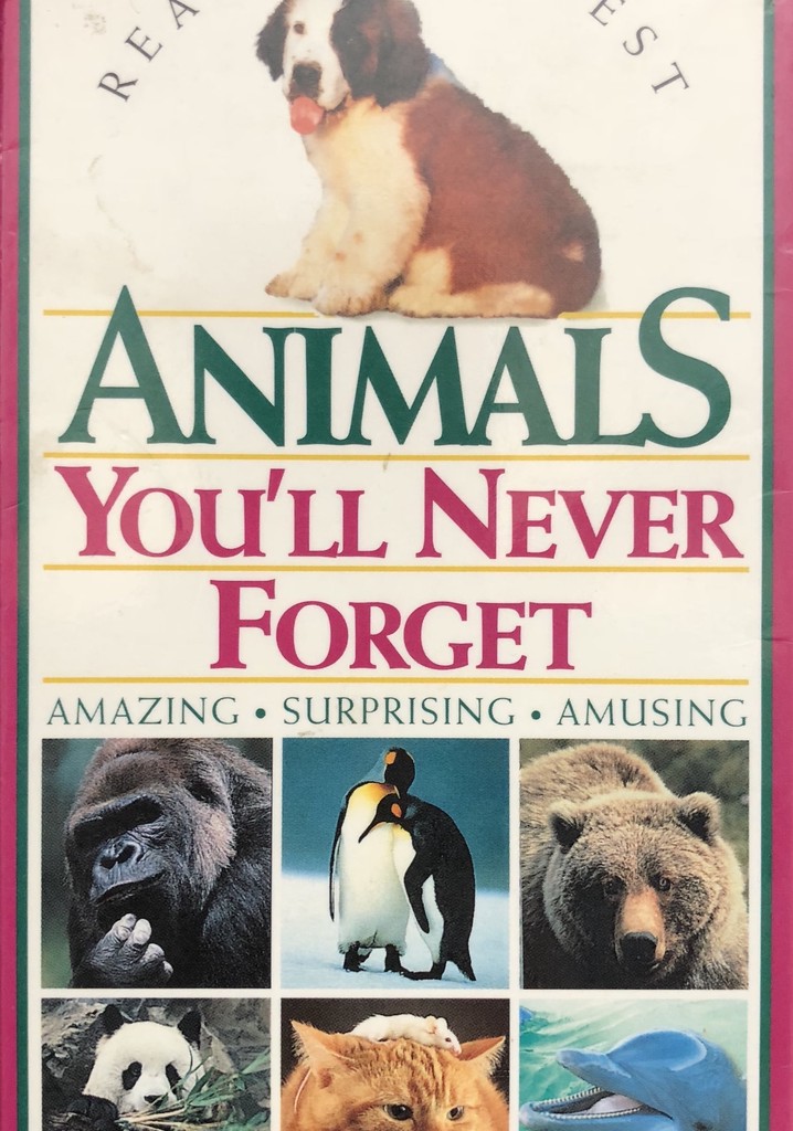 Animals You'll Never Forget