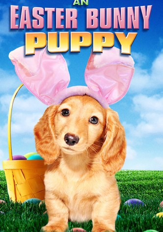 An Easter Bunny Puppy