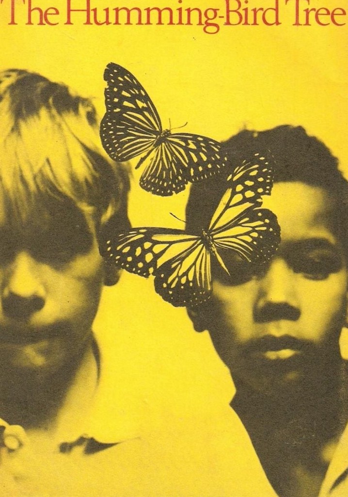 The Hummingbird Tree