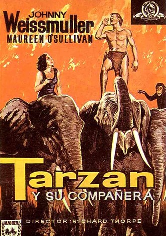 Tarzán y su compañera