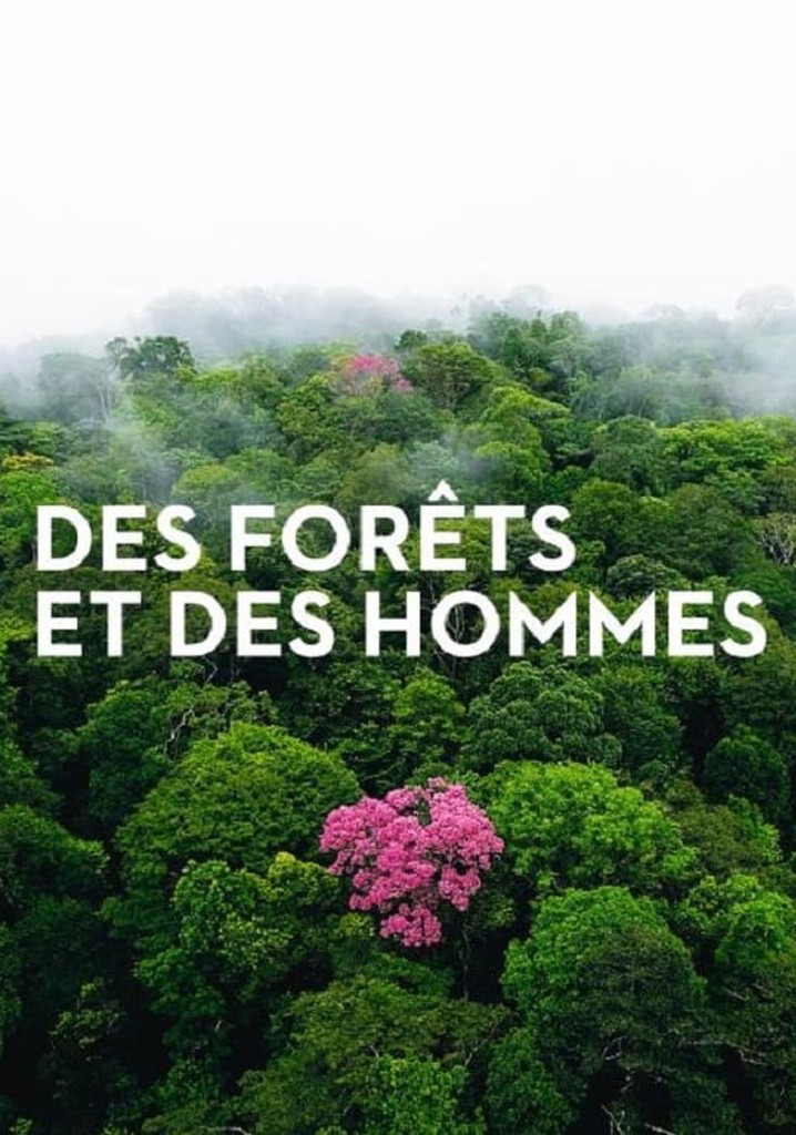 Forests and People