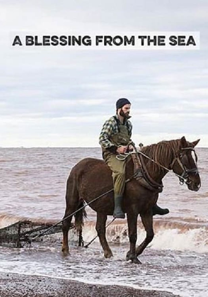 A Blessing from the Sea