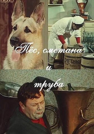 Пес, сметана и труба