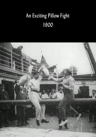 An Exciting Pillow Fight