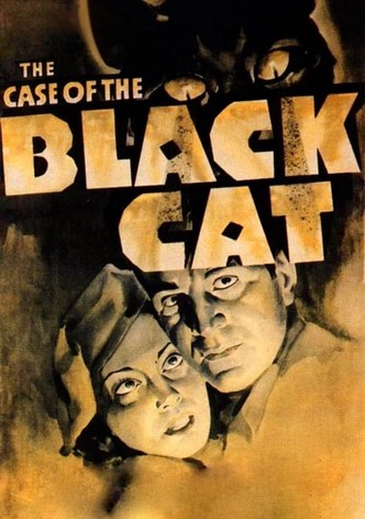 The Case of the Black Cat