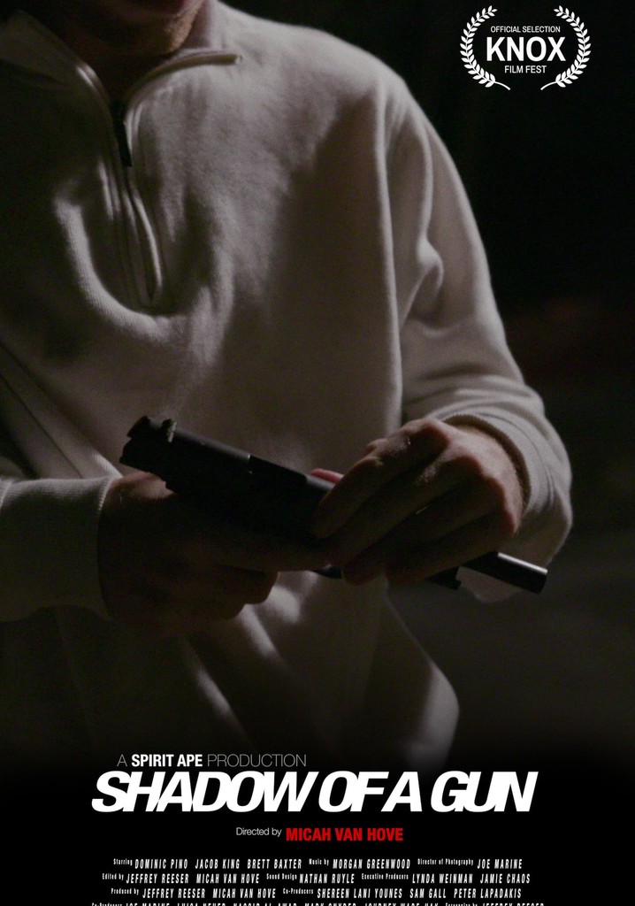 Shadow of a Gun