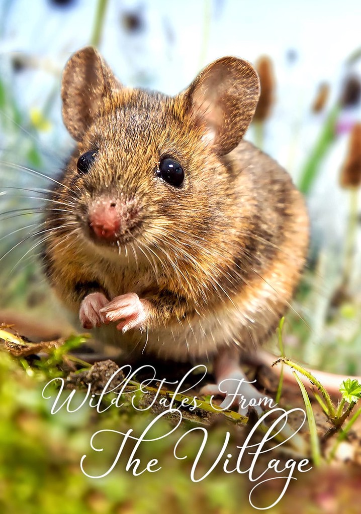 Köyden Vahsi Öyküler