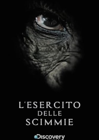 L'Esercito delle Scimmie