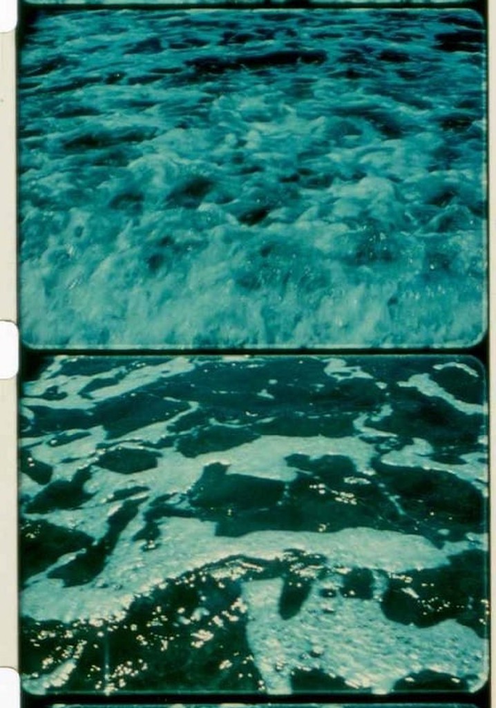 A Child’s Garden and the Serious Sea