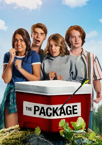 The Package poster