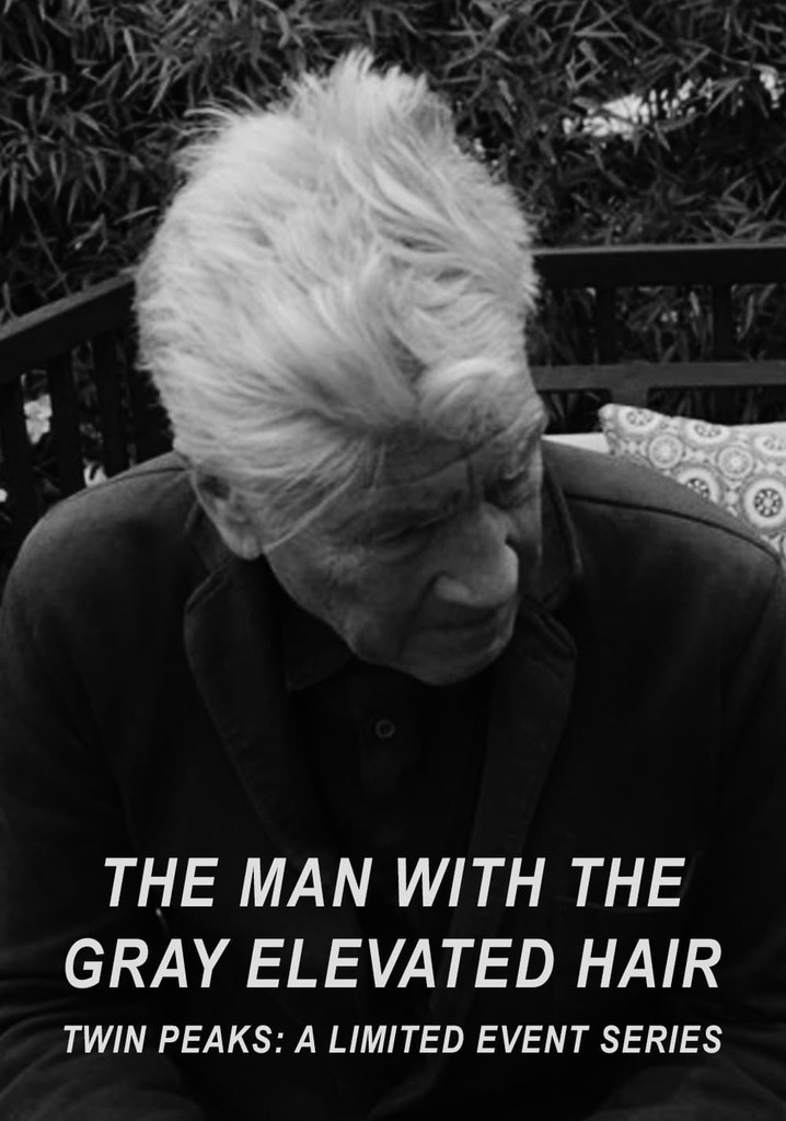 The Man with the Gray Elevated Hair