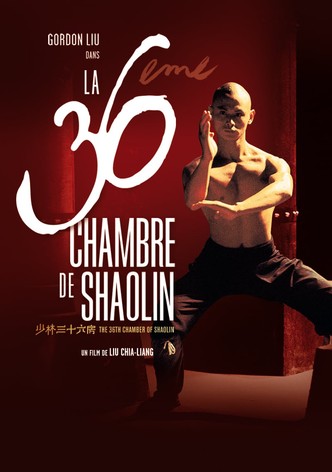 La 36ème Chambre de Shaolin