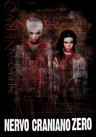 Nervo Craniano Zero