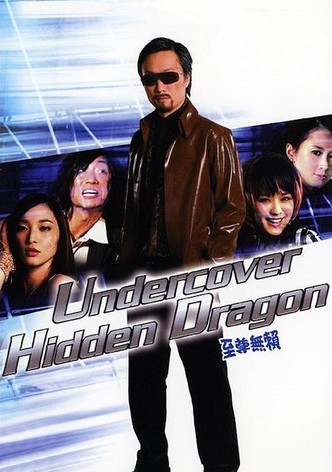 Undercover Hidden Dragon