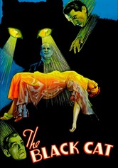 Le Chat noir