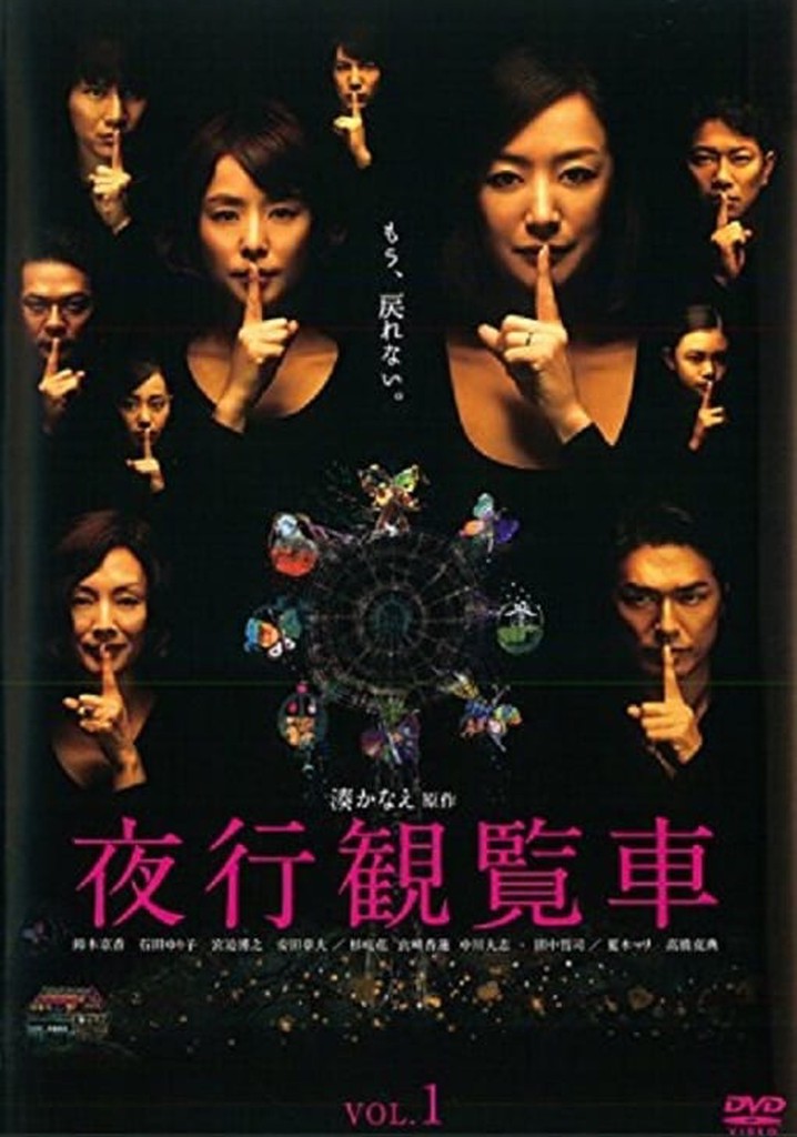 夜行観覧車 TV ドラマ 動画配信 オンライン 視聴