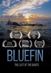 Bluefin