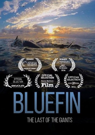 Bluefin