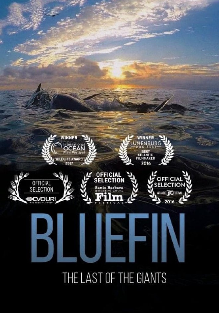 Bluefin