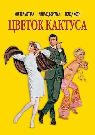 Цветок кактуса