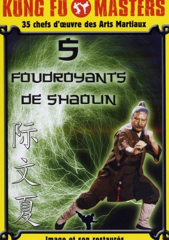 Les 5 Foudroyants de Shaolin