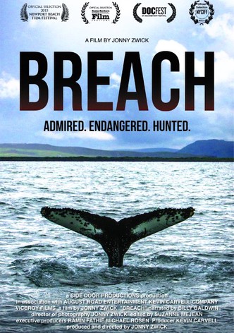 Breach