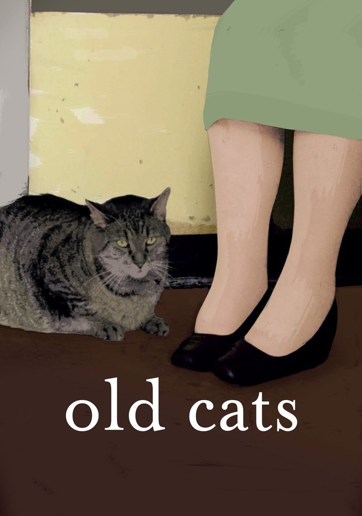 Yaşlı Kediler