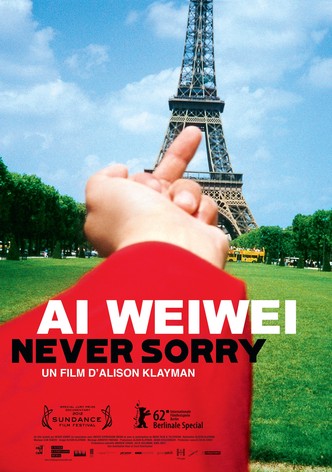 Ai weiwei : sans remords