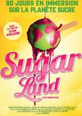Sugarland - Incredible Machine