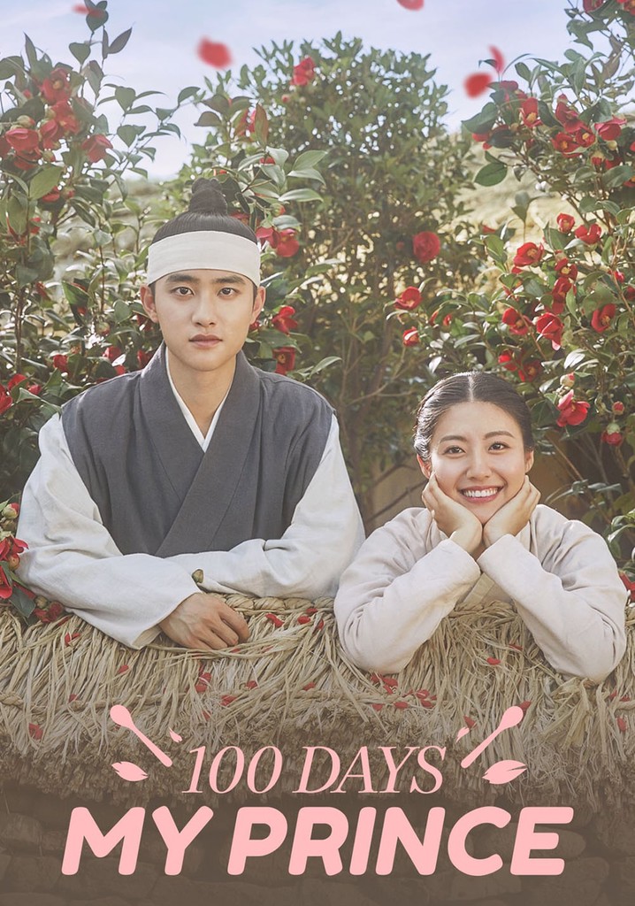 100 Days My Prince streaming tv show online