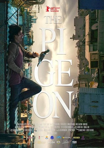 Le pigeon