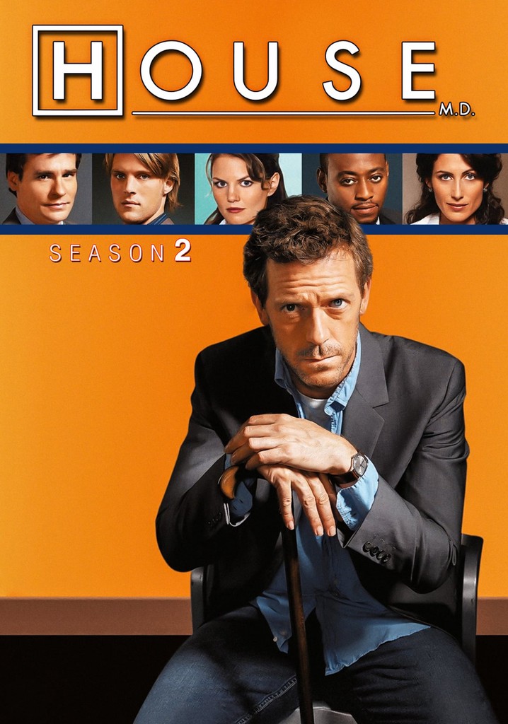 Dr. House - Medical Division Stagione 2 - streaming online