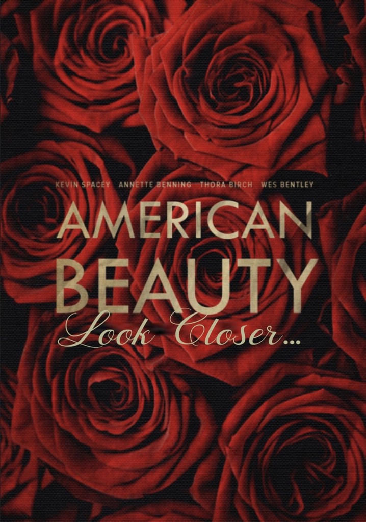 American Beauty: Look Closer...