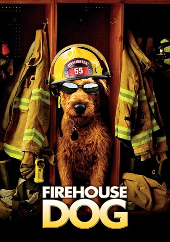 Firehouse Dog
