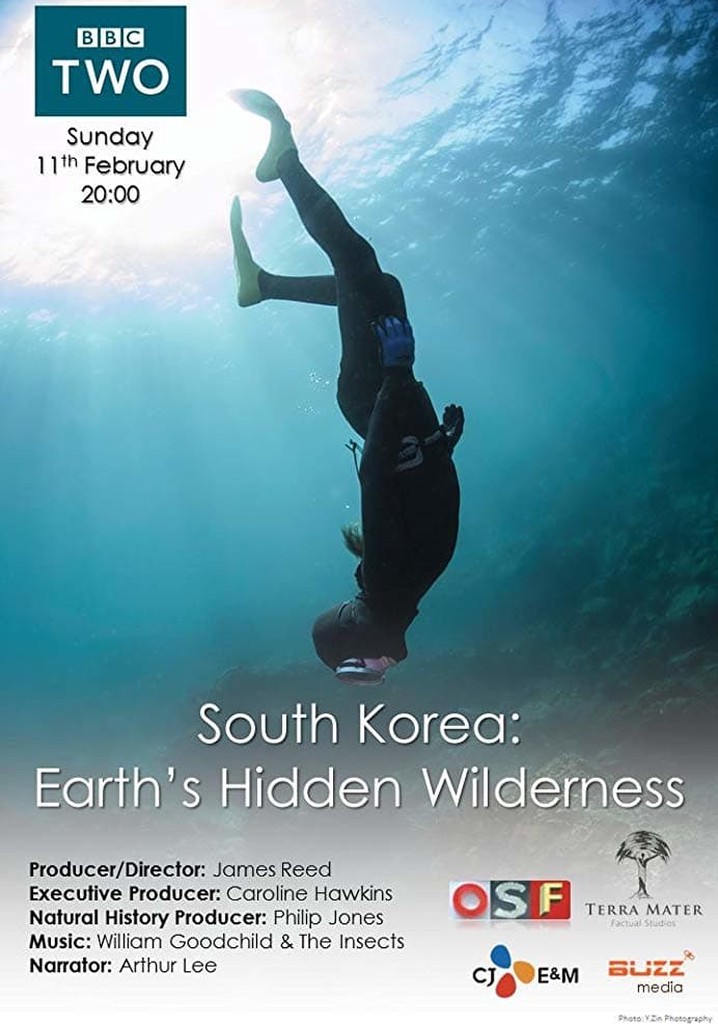 South Korea: Earth's Hidden Wilderness