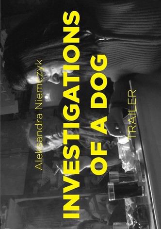 Investigations of a Dog