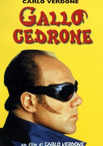 Gallo cedrone