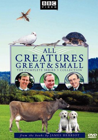 All creatures great and small movie sale watch online