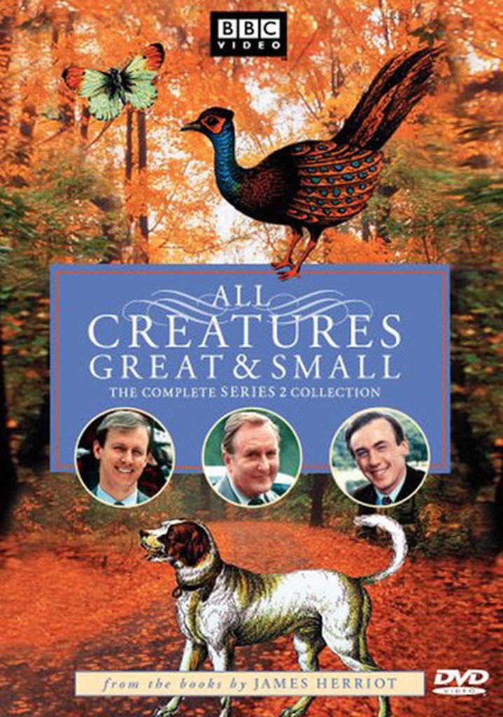 All Creatures Great And Small Saison 2 All Creatures Great and Small Season 2 - streaming online
