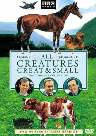All Creatures Great and Small Season 1